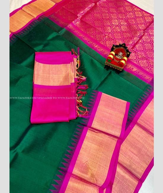 Light Green Handloom Print Patola Silk Saree with Pink Border